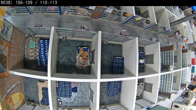 Webcam in Muskegon,United States