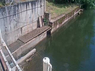 Water Management