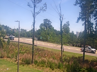 Traffic webcam