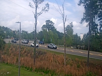 Webcam in Savannah,United States