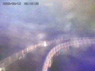 Walking Bridge