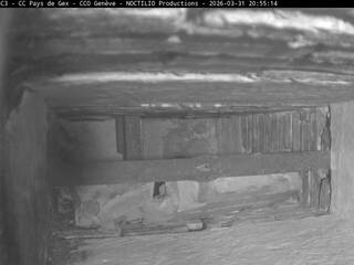 Webcam in Saint-Jean-de-Gonville,France