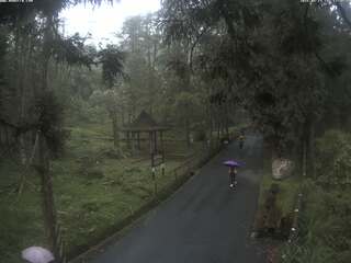Park
