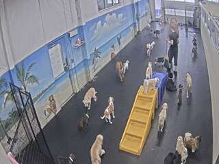 Webcam in New Boston,United States