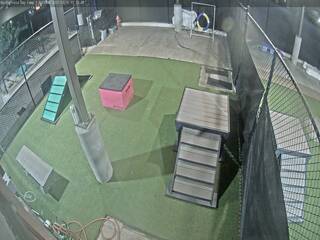 Dog Kennel