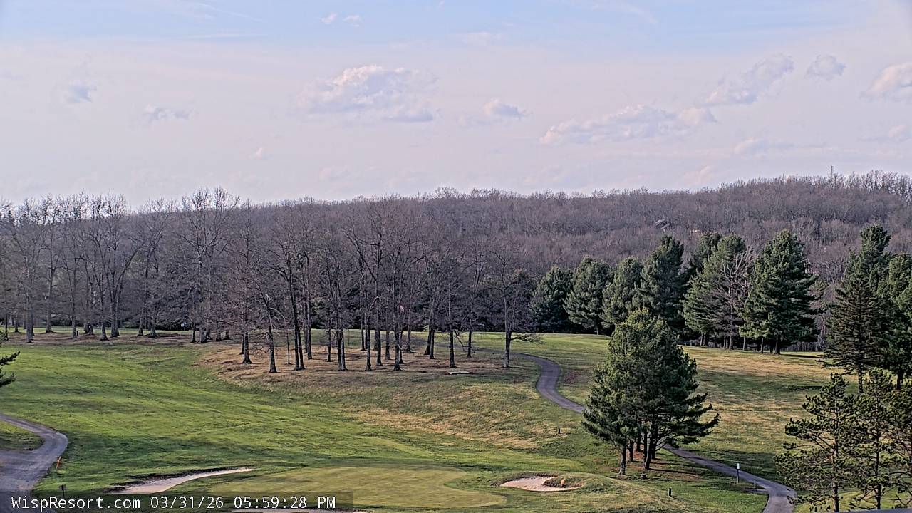 Webcam in United States