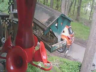 Bird Feeder