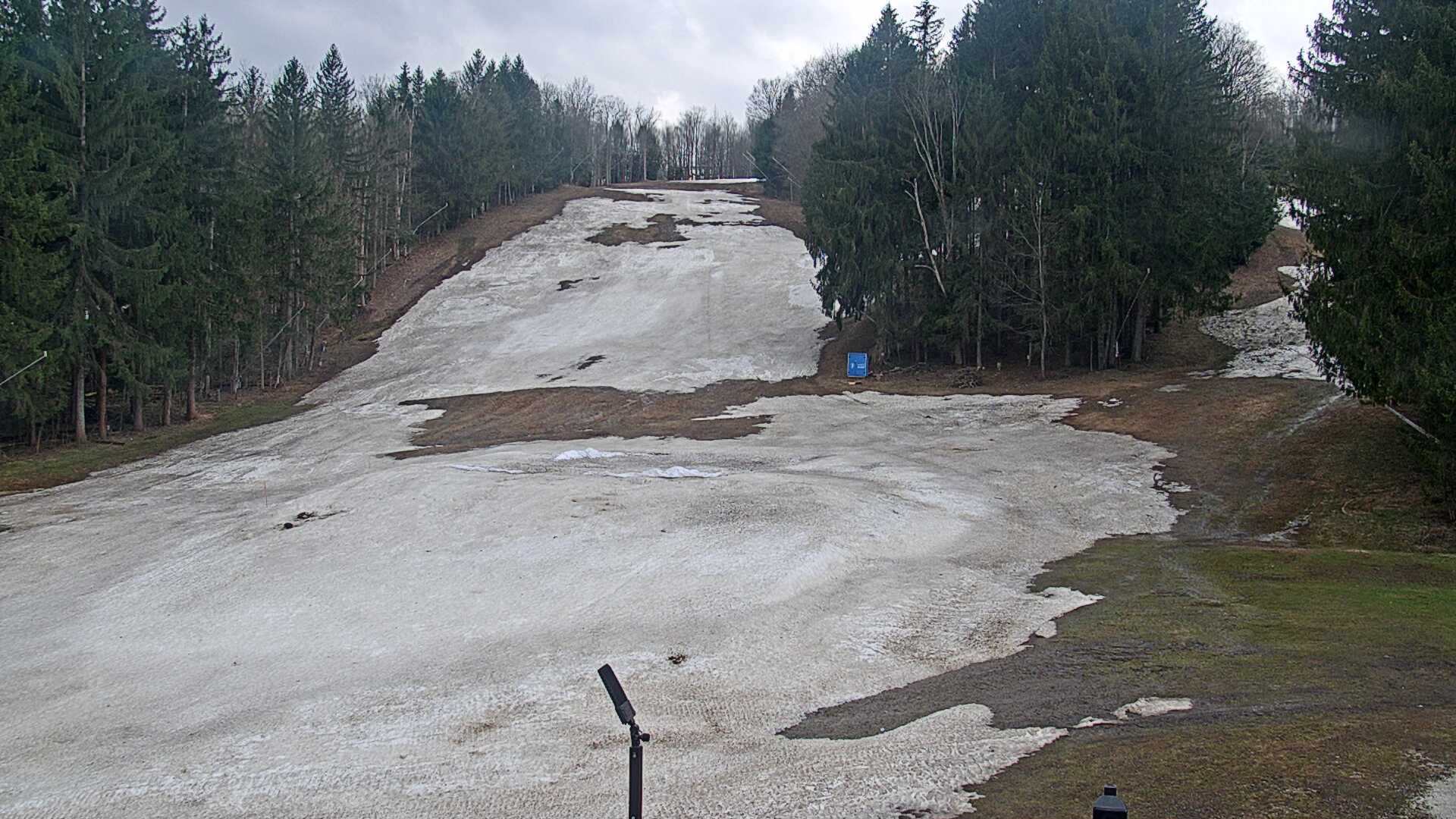 Webcam in United States