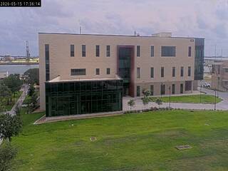 Texas A&amp;M University