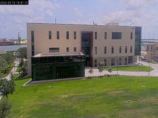 Texas A&amp;M University