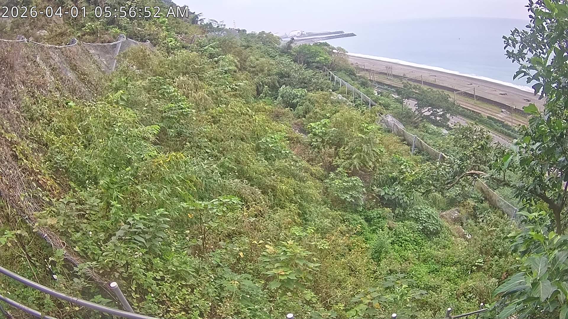 Webcam in Taipei,Taiwan