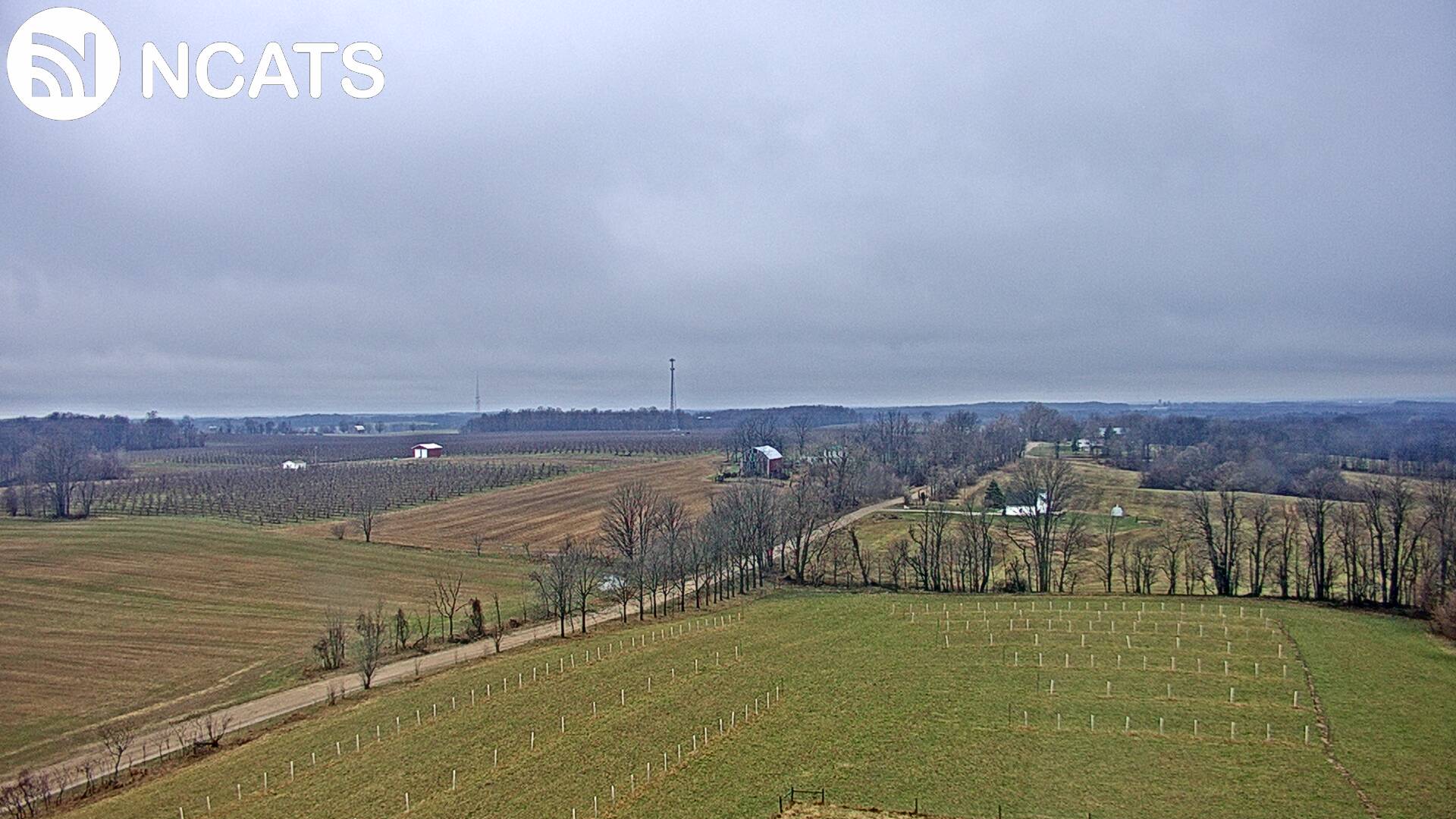 Webcam in Fremont,United States