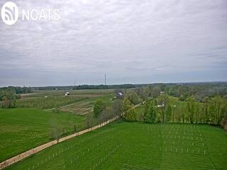 Fields