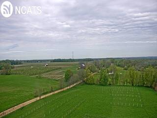 Fields