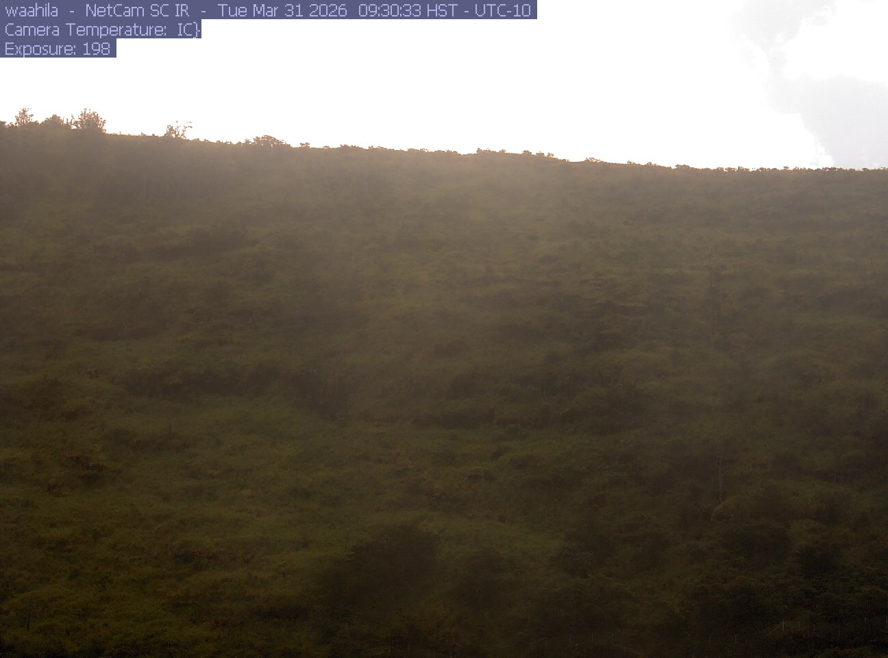 Webcam in Honolulu,United States