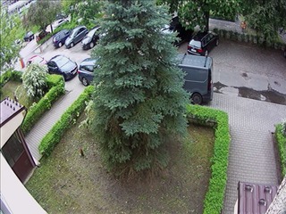 Street Parking