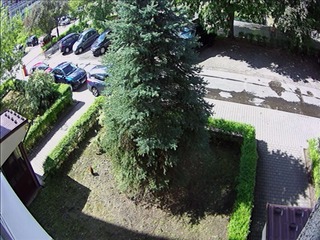 Street Parking