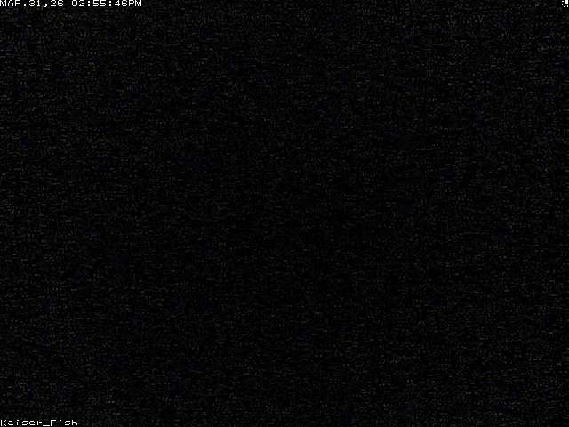 Webcam in Oakland,United States