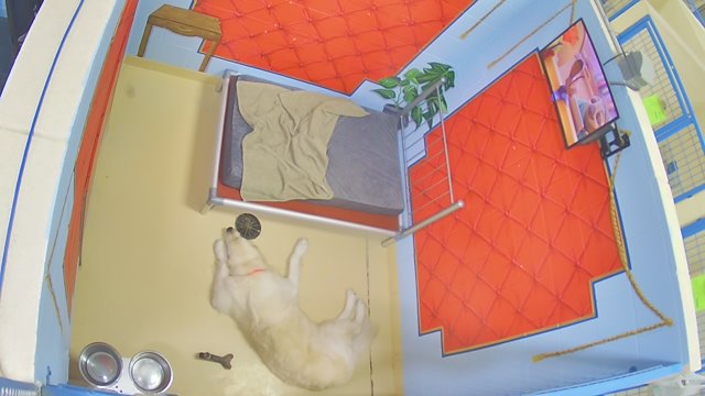 Webcam in New Boston,United States