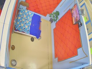 Dog Kennel