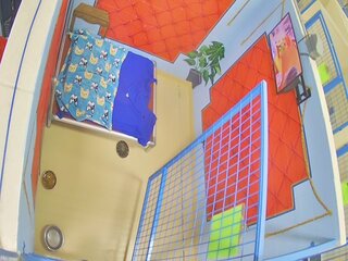 Dog Kennel