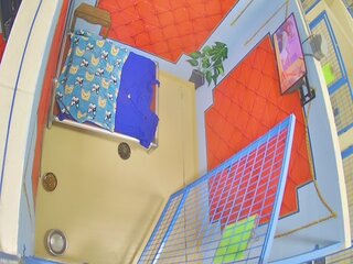 Dog Kennel