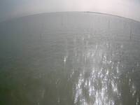 Venetian Lagoon