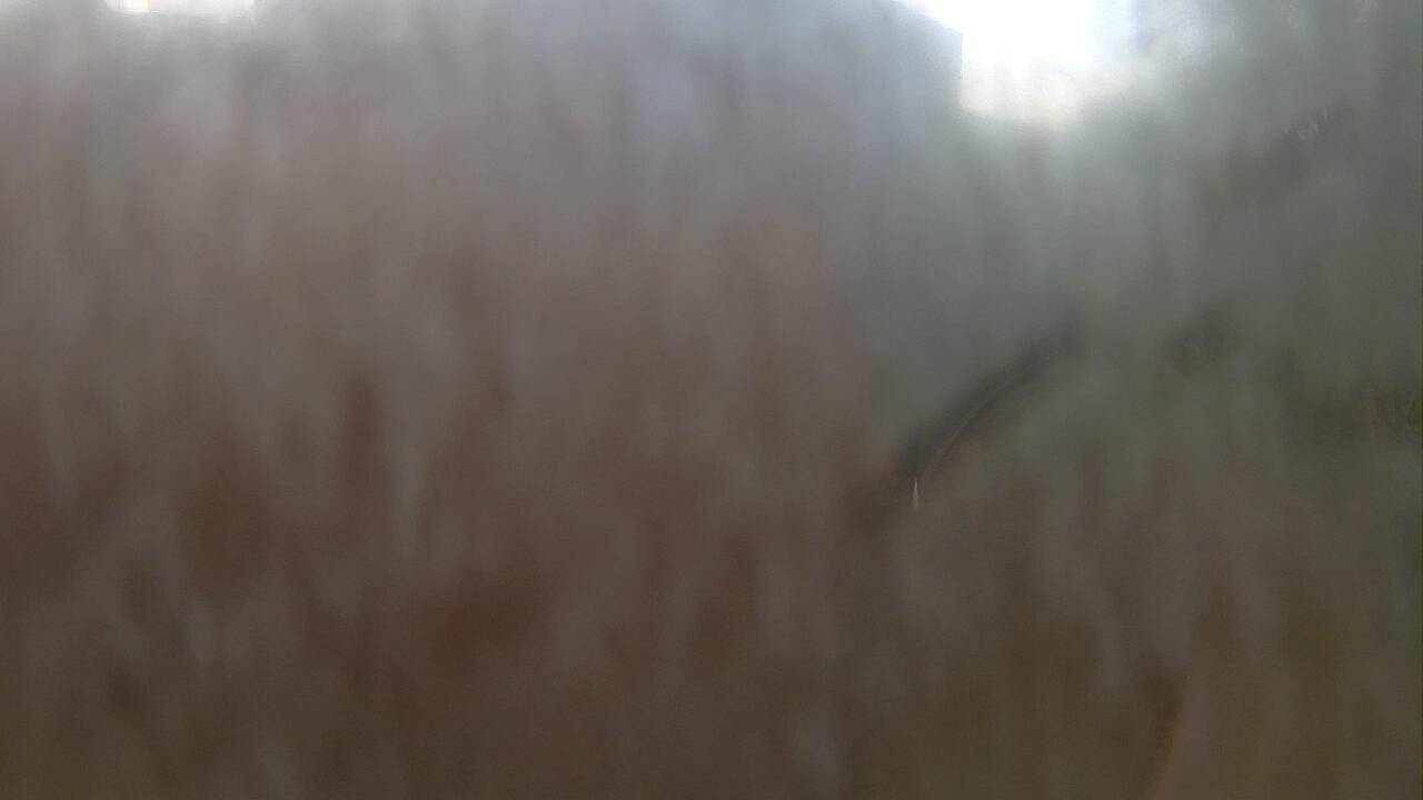 Webcam in Baltimore,United States