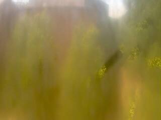 Unidentified