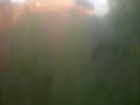 Unidentified