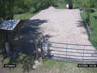 Horse Paddock