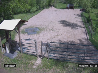 Horse Paddock