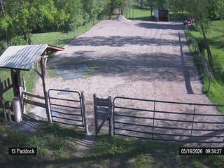 Horse Paddock