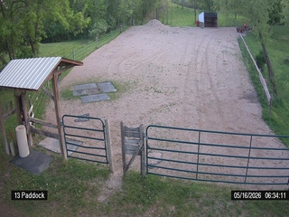 Horse Paddock