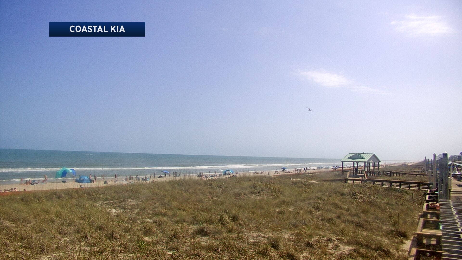 Webcam in Suffolk,United States