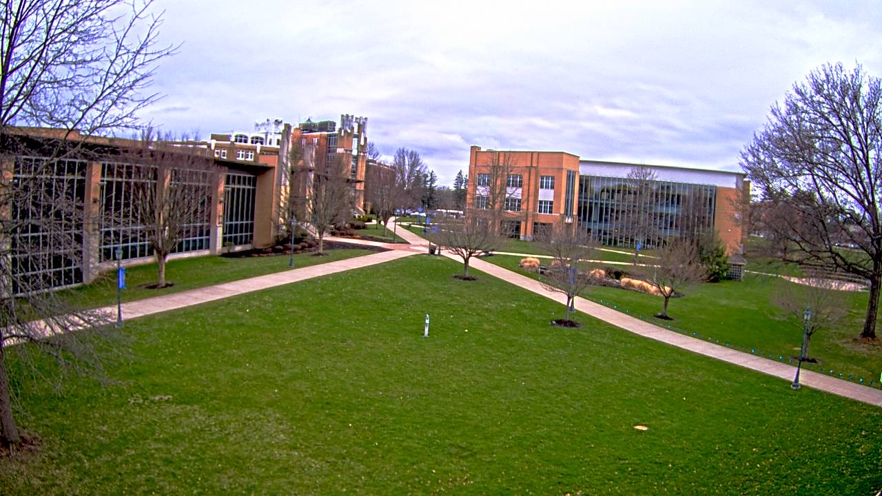 Webcam in Dallas,United States