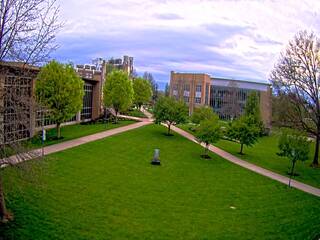 Misericordia University