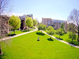 Misericordia University