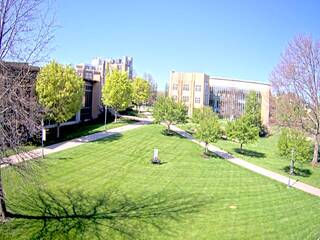 Misericordia University