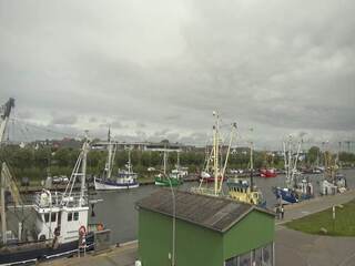 Harbor