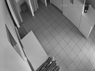 Webcam in Russia