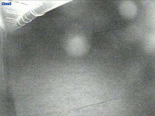 Garden & Mountain views