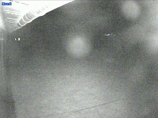 Garden & Mountain views