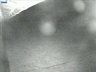 Garden & Mountain views