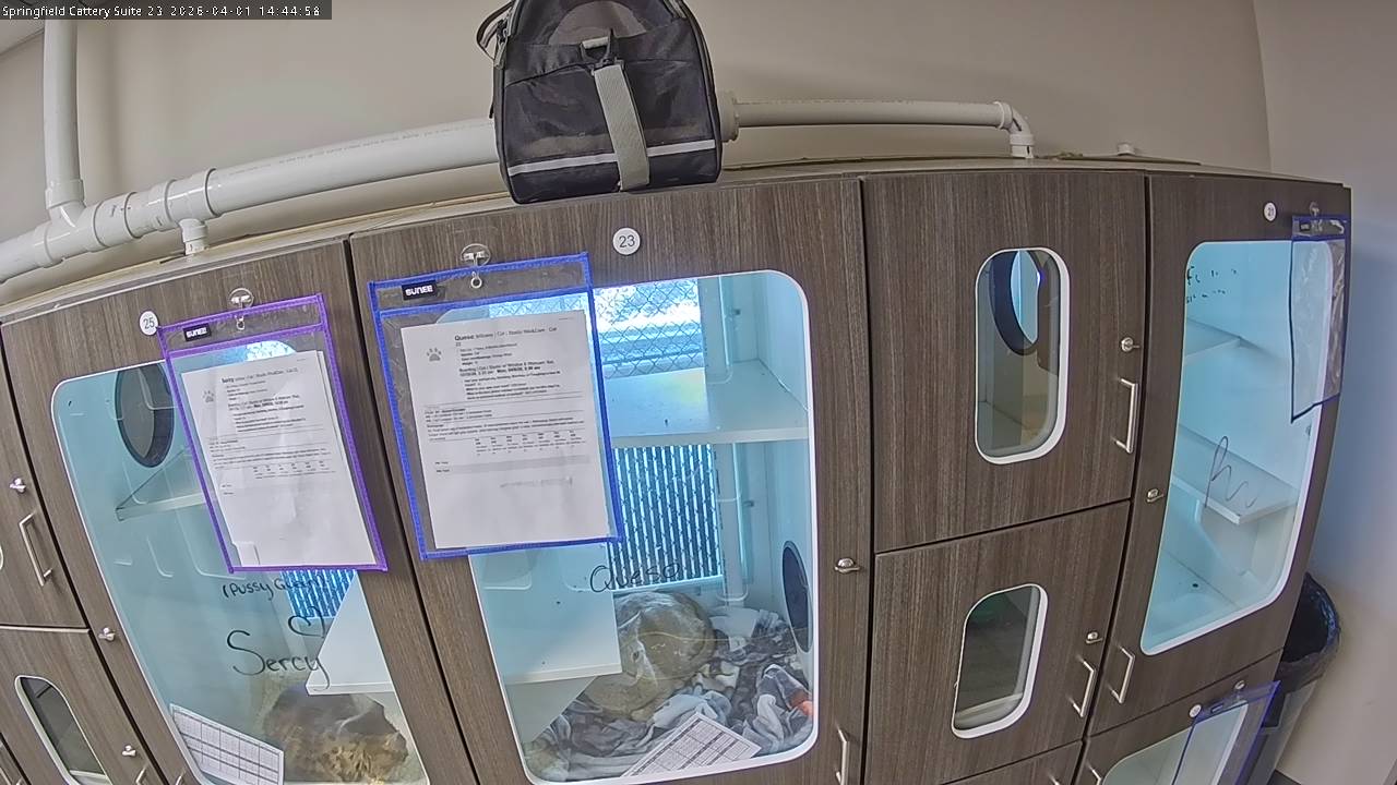 Springfield Cattery Suite