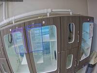 Springfield Cattery Suite