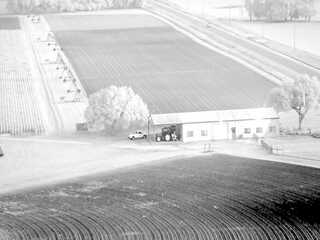 Fields