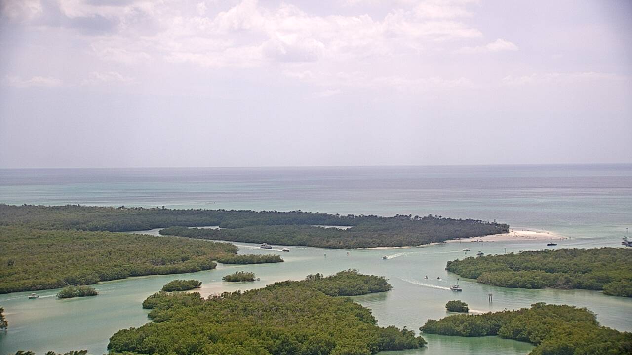 Webcam in Naples,United States