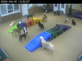 Webcam in United States