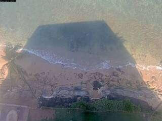 Beach & Pacific Ocean